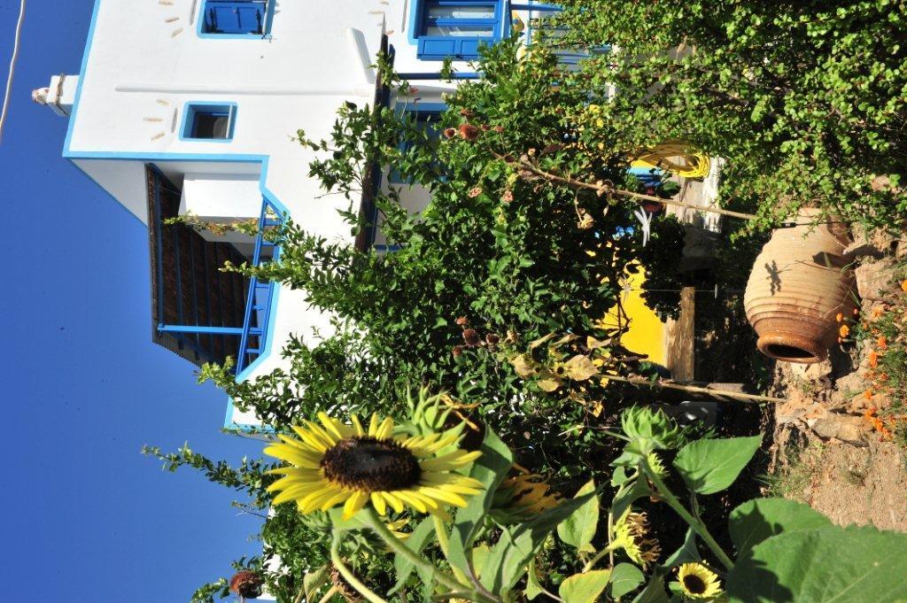 Pension Titika Katapola Exterior photo